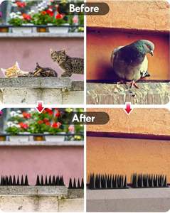 Vogel Spikes <span class=keywords><strong>Plastic</strong></span> Vogel Afschrikmiddel Spikes <span class=keywords><strong>Plastic</strong></span> Afschrikmiddel Anti Diefstal Klimstrips - Product Image 6