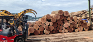 Proveedor de INDONESIA, superventas, contrachapado de Malaca, 4x8 hojas, duradero para muebles y construcción de viviendas, pegamento MR/fenólico - Product Image 3