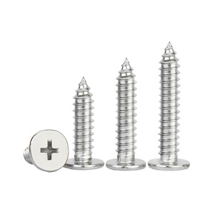 Tornillo Autorroscante de Acero Inoxidable 304 Li Ming M2 M3 M4 M8, Cabeza Plana, Cabeza Phillips, Uso Industrial - Product Image 2