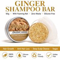 Shampooing Solide Artisanal au Gingembre Bio 60g Boîte Métallique Extrait Végétal Naturel Nourrissant le Cuir Chevelu Anti-Pelliculaire Sans Cruauté Végétalienne Végan OEM
