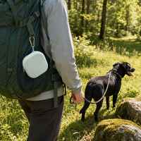 Bol pliable pour animaux de compagnie en silicone personnalisé, 2 en 1, bol portable pour chien de qualité alimentaire, double bol, mangeoire de voyage en plein air, sans BPA, antidérapant