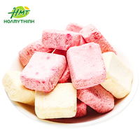 SABAVA 38g Zoete Gefreeze-droogde Gemengde Fruitjes Aardbei Mango Chips Yoghurtblokjes Harde Textuur Klaar om te Eten 12 Maanden Houdbaarheid