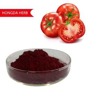 Wholesale price food grade 1%~98.5% Tomato Extract Powder Lycopene