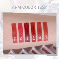 Vernis à lèvres en velours 6 couleurs, marque privée, mat, boue à lèvres longue durée, imperméable, personnalisation rouge à lèvres, fournisseur mat