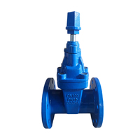 Vanne à opercule souterraine WEIZIDOM BS5163 DN50~DN400 à joint souple pour système d'eau