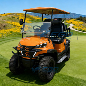 Carrito de Golf 4x4 de 4 Plazas, Vehículo Eléctrico de Marca para Recepción en Hoteles y Aeropuertos, Origen Henan - Product Image 2