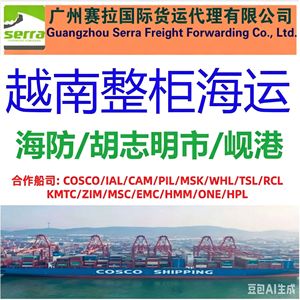 Transport maritime porte-à-porte Chine-Indonésie, fret LCL express, dédouanement et taxes inclus, service tout-en-un. - Product Image 2