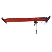 Pont roulant électrique à télécommande monopoutre de type LD 5t 10t, antidéflagrant, personnalisable, fabriqué en Chine