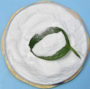 ラクトバチルスカセイ高活性食品グレードプロバイオティクス粉末 - Product Image 4