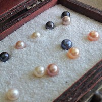 DIY Akoya & Huître d'eau douce avec des perles d'eau douce rondes authentiques de 7 mm à 9 mm à l'intérieur & Cadeaux scientifiques - Emballés individuellement