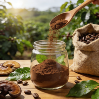 Café instantané Reishi à étiquette privée OEM/ODM, goût neutre, sans sucre, mélange adaptogène, extrait de Ganoderma, poudre de café de qualité supérieure