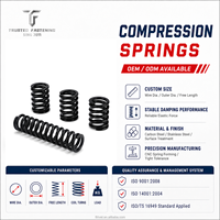 Ressort de compression en spirale métallique TianFang personnalisé, haute résistance, haute pression, résistant à la fatigue, pour soupape de moteur, ressort hélicoïdal