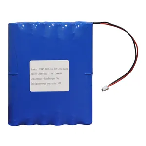 Customized 7.4V 18650 Rechargeable Lithium Ion Battery Pack 500 Times Long Cycle for Outdoor Light Equipment Electric Forklifts