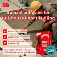 Adhésif en poudre pour carrelage C300 conforme à la norme ISO C2TE, colle multi-scénarios pour murs et sols, idéal pour la pose et la rénovation de carrelage sur toute la maison