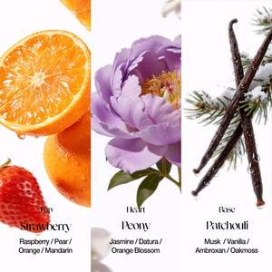 O.TWO.O Sunny Paris Parfum Fruité Chypre pour Femme Longue Durée 25ml Baies Fraîches Agrumes Pivoine Jasmin <span class=keywords><strong>Patchouli</strong></span> - Product Image 4