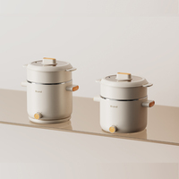 Appareils électroménagers, bouilloire électrique multifonction, marmite de cuisson électrique, cuiseur à œufs, cuiseur à légumes et à riz