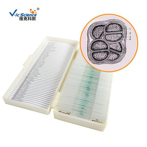 Portaobjetos de Chlorella, algas, cianobacterias, secciones de plantas y animales, observación microscópica de muestras en portaobjetos. - Product Image 2