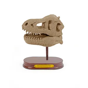 MINI cabeza de dinosaurio para niños, colección de Juguetes