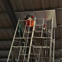Isolation ignifuge, hangar à volaille, ferme à poulets, maison de construction, panneau Sandwich phénolique pour façade de bâtiment en acier