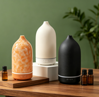 Diffuseur de parfum d'intérieur personnalisé, diffuseur de parfum électrique, diffuseur d'arômes en céramique de luxe USB, humidificateur d'air