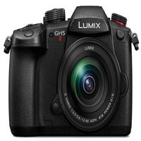 Kit de Lentes Estándar Plc Gh5m2, Cámara Réflex Digital sin Espejo Dc-gh5m2m con Garantía