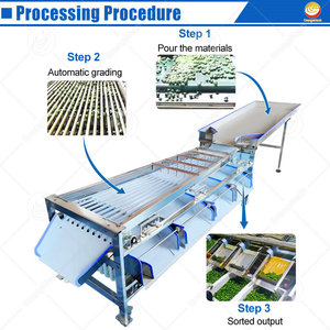 Machine de <span class=keywords><strong>tri</strong></span> et de lavage automatique de fruits ORME pour citrons frais, myrtilles, oranges et dattes - Product Image 3
