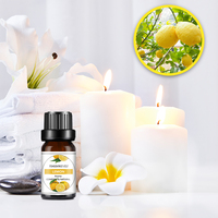 Huiles essentielles personnalisées hydrosolubles, parfums multiples pour désodorisant, lys, océan, lavande pour diffuseur de parfum