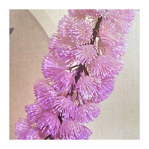 Lingotto volpe coda stickdecorativo Syncarpha conservato fiori secchi piante Rock per eventi domestici e decorazioni di natale di nozze - Product Image 1