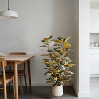 Plantes artificielles en caoutchouc variées Nifloral, vente en gros, faux arbre en pot pour la décoration intérieure