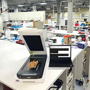 Высококачественный электронный анализатор дефектов пшеницы, интеллектуальный детектор дефектного зерна - Product Image 5