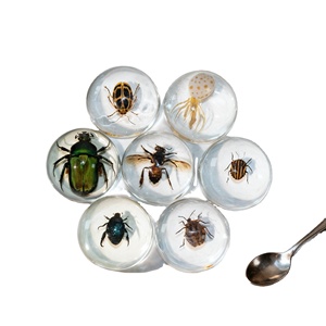 Benji Curated Resin Arthropod Display, Molde Esférico para la Conservación de <span class=keywords><strong>Fauna</strong></span> Silvestre, Pintado a Mano, Motivo de <span class=keywords><strong>Fauna</strong></span> Realista y Auténtico para Pared - Product Image 1