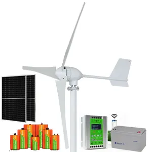 800W1000W 2KW 3KW 5KW Generador de viento 800W Maglev Generador de viento de eje horizontal Generador de viento