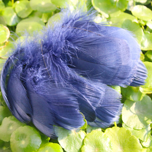 Plumas de Gallo Coloridas para Manualidades, Decoraciones para Fiestas Familiares, Bodas, Manualidades de Jardín de Infancia, Suministros para Atrapasueños - Product Image 6