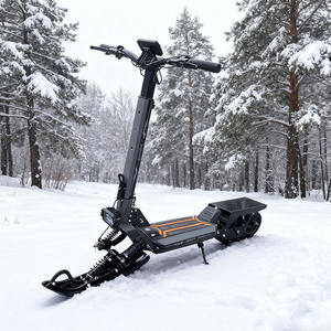 Scooter électrique 3 en 1 pour adultes, haute qualité, 800 W, roues <span class=keywords><strong>de</strong></span> 11 pouces, batterie au lithium, type intelligent électronique pour le snowboard - Product Image 3
