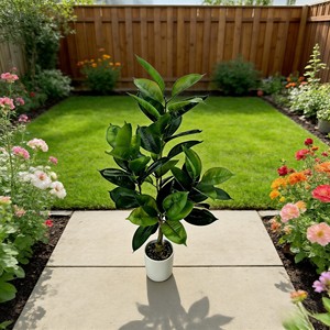 Bonsaï Arbre Caoutchouc Artificiel pour Décoration Intérieure, Plante Artificielle, Feuilles Simulées - Product Image 3