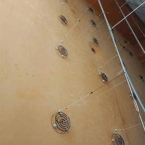 Poliurea y <span class=keywords><strong>Poliuretano</strong></span> de Dos Componentes para Revestimiento de Estanques de Camarones con Garantía de por Vida - Product Image 6