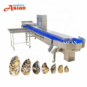 seafood oyster tray weighing 8 levels grading machine/ Clam shell fish weigh checking sorting machine