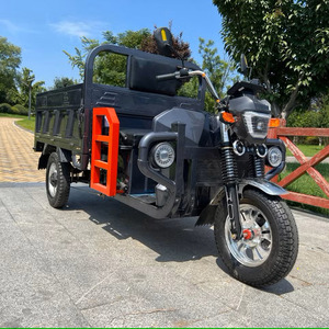 <span class=keywords><strong>Triciclo</strong></span> de suspensión de <span class=keywords><strong>triciclo</strong></span> volquete eléctrico tipo conducción eléctrica inteligente de alto nivel - Product Image 4