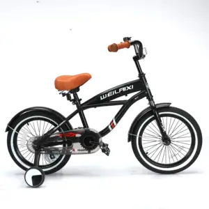 12'' Beautiful Girl Kid Bicycle from China Supplier Single Speed Gears for Street Use Stylish Design at Price