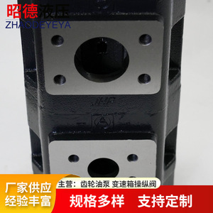 Bomba hidráulica de engranajes vertical Zhaode Hydraulics de cuatro unidades JHP2063 2050 2032 1008 para uso de refuerzo de bomba de aceite - Product Image 4