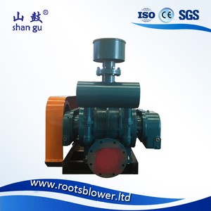 Bomba de Vacío Roots para Envasado al Vacío de Alimentos, Diseño Compacto, Bajo Mantenimiento, Construcción Sanitaria para Procesamiento de Alimentos - Product Image 2