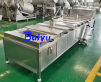 Baiyu Automatische Broccoli- en Ui-blancheringsmachine voor diepvriesgroenteproductielijn met hoge efficiëntie