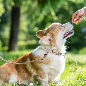 Tali dan kalung hewan peliharaan kerah tali anjing kucing kulit Vegan Pu tahan air kotak-kotak bergaya baru - Product Image 5