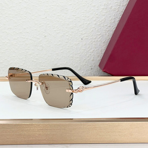 Gafas de Sol sin Marco con Diseño de Guepardo, Lentes de Resina con Protección UV400, Diseño Retro Metálico Unisex - Product Image 1