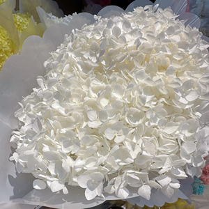 Trang Trí Đám Cưới Bất Tử Bảo Quản Tươi Anna Hoa Tú Cầu Đầy Màu Sắc Mãi Mãi Kéo Dài Hydrangeas Với Thân Cây - Product Image 2