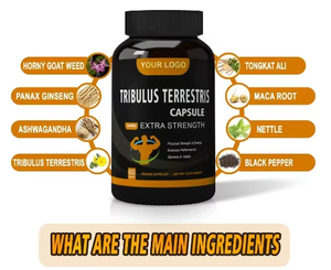WELLBODY Tribulus Terrestris Capsules de Haute Qualité Homme Femme Test Boost <span class=keywords><strong>Max</strong></span> pour Adultes - Product Image 4