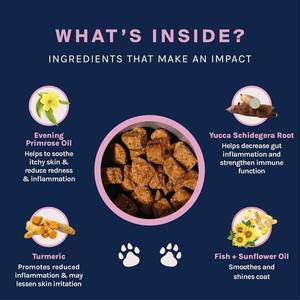 OEM/ODM cilt ve ceket desteği köpekler için yumuşak çiğniyor-Omega 3-6-9 & Biotin formülü, <span class=keywords><strong>Aloe</strong></span> <span class=keywords><strong>Vera</strong></span> ile kaşıntı kabartma ve dökülme kontrolü - Product Image 2