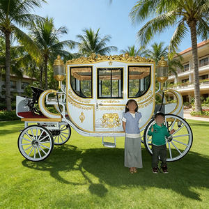 Vagoneta de lujo eléctrica, perfecta para festivales, bodas, carruaje de caballos en venta - Product Image 6