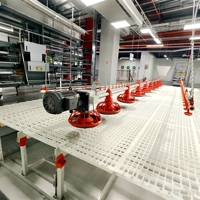 Système d'élevage de poulets de chair en gros, équipement d'élevage avicole pour l'élevage de poulets, fournitures avicoles, outils agricoles, mangeoires pour animaux