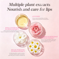 Gloss à lèvres hydratant végétalien en gros, personnalisé, haute pigmentation, mat, non desséchant, waterproof, maquillage, marque privée